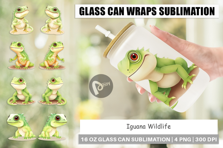 Glass Can Iguana Wildlife