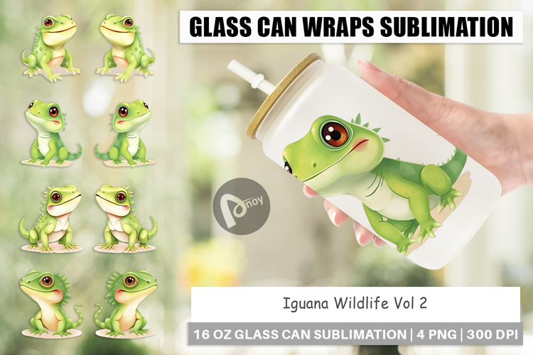 Glass Can Iguana Wildlife