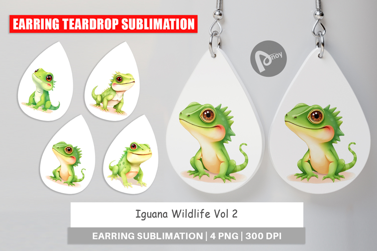 Earring Iguana Wildlife