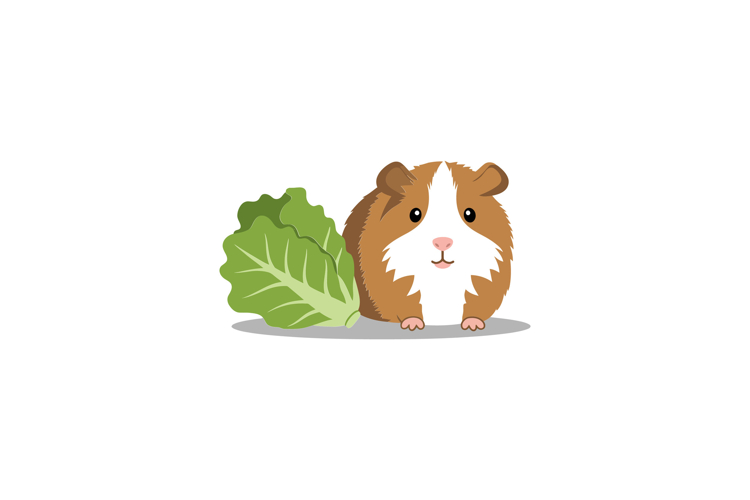 Pig Clipart Image 23