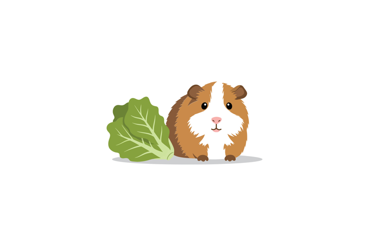 Pig Clipart Image 22
