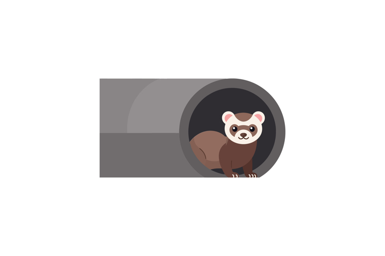 Ferret peeking out of a gray tunnel in flat vector art
