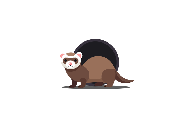 Ferret Clipart Image 11