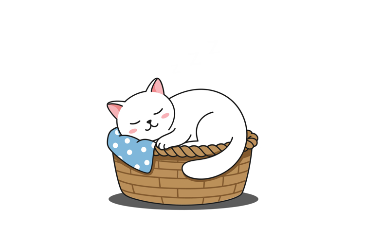 Sleep Illustration Image 14