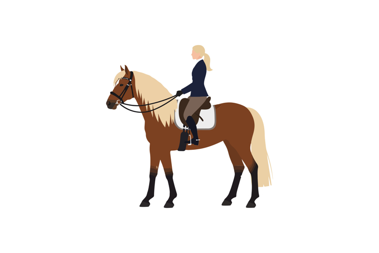 Horse Vector Image 18