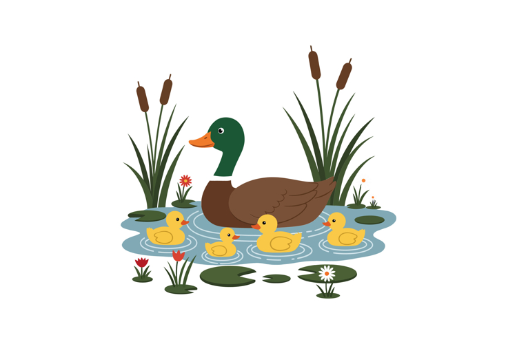 Duck Clipart Image 18