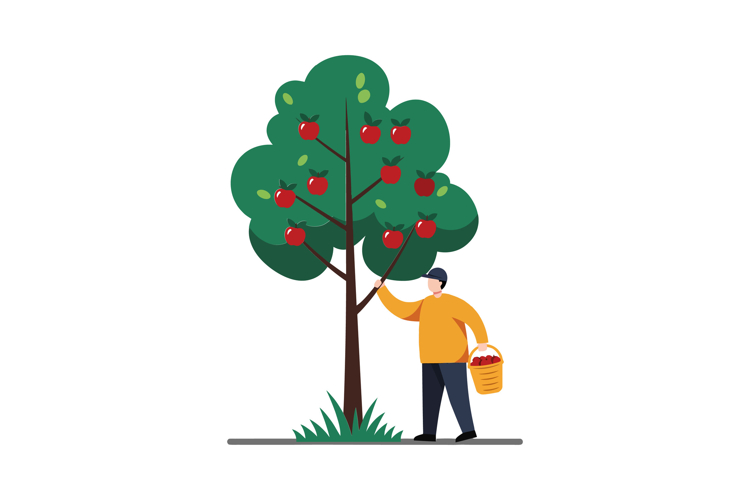 Apple Picking Clipart Image 19