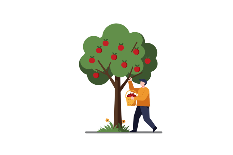 Apple Basket Clipart Image 9