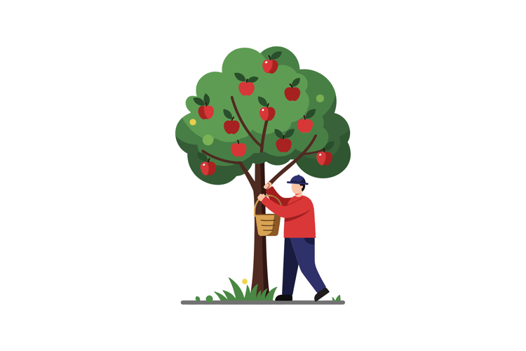 Apple Basket Clipart Image 8