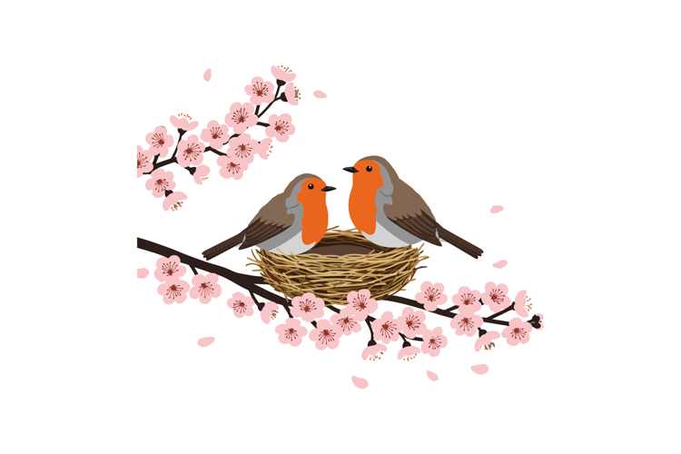 Bird Nest Clipart Image 13