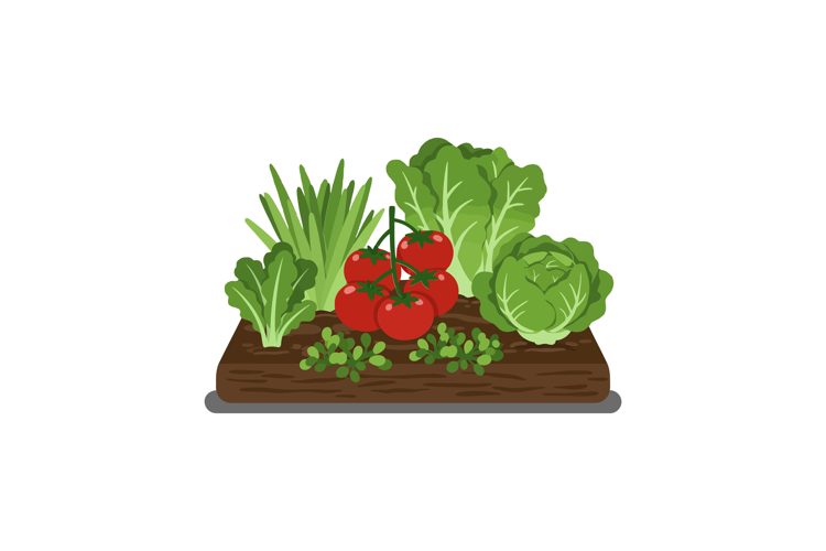 Vegetable Garden Clipart Image 16