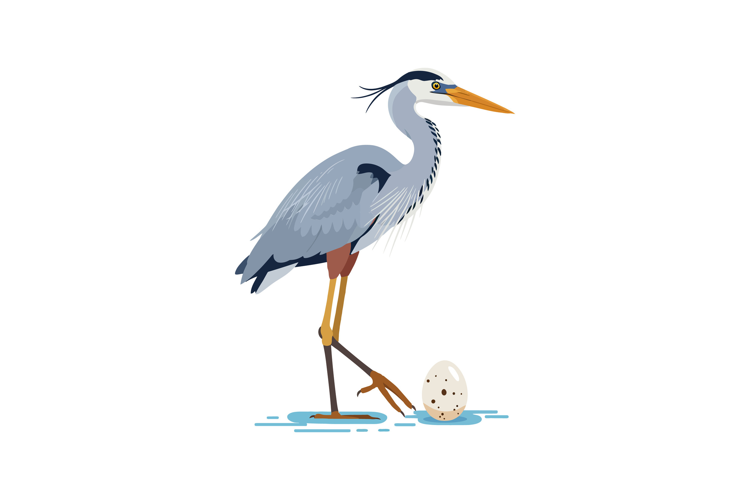 Heron standing beside a spotted egg in a minimalist flat des