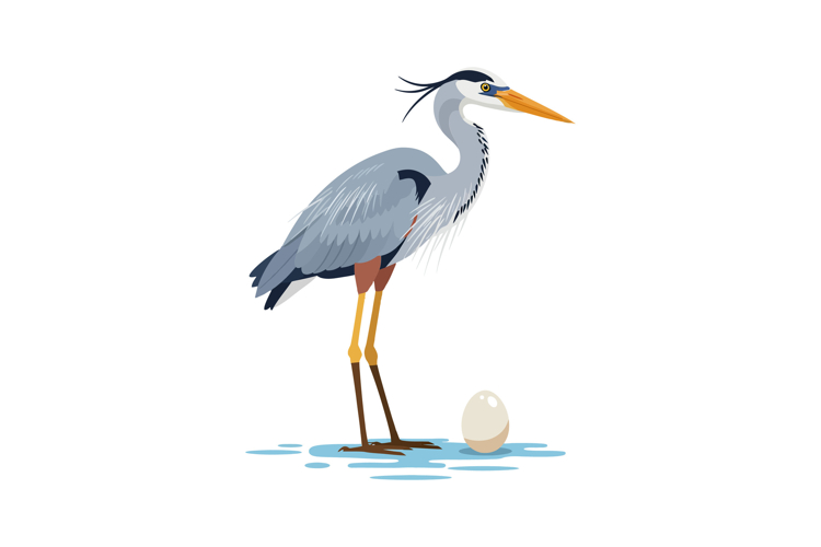 Heron standing gracefully beside its egg in flat, colorful d