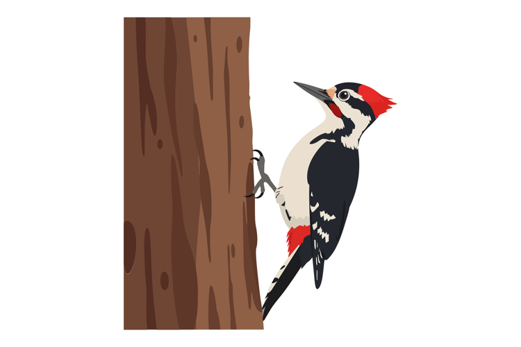 Tree Clipart Image 11
