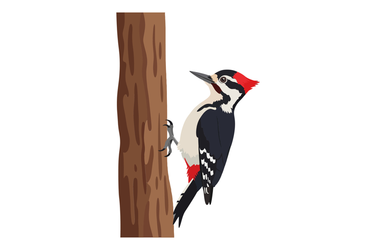 Tree Clipart Image 10