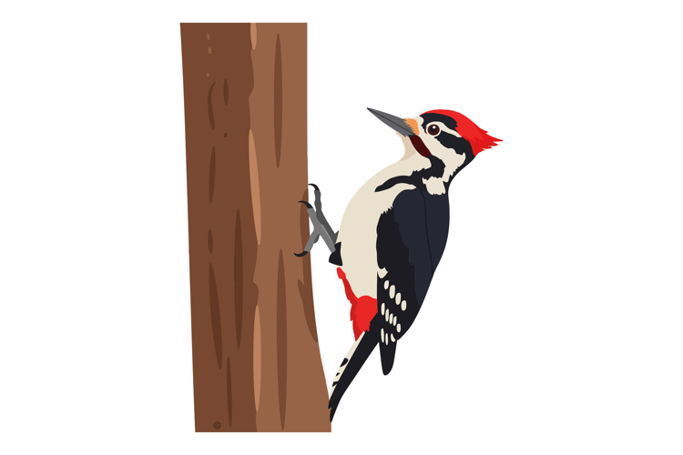 Tree Clipart Image 9