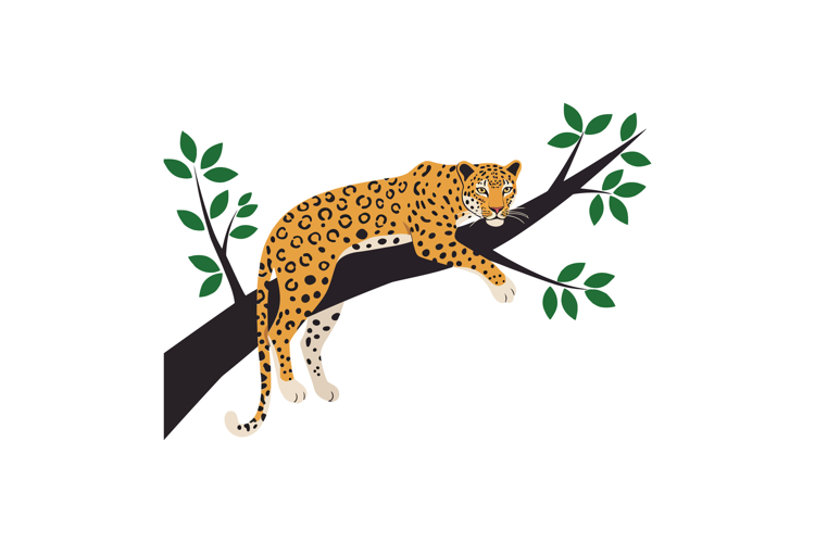 Leopard resting on a branch surrounded by green leaves in fl