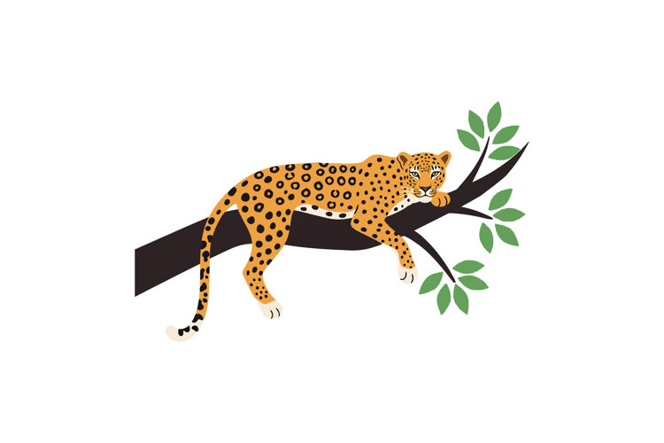 Leopard resting on branch with green leaves in flat style ve example image 1