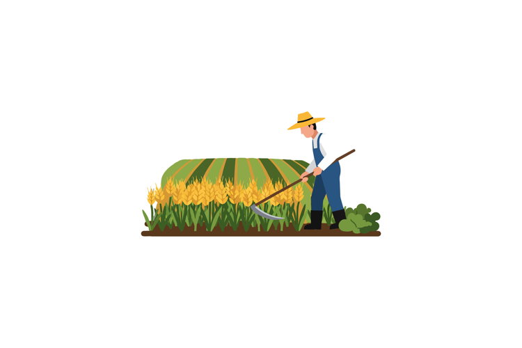 Crops Clipart Image 6