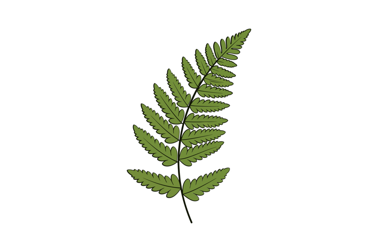 Detailed green fern leaf in flat design style featuring natu