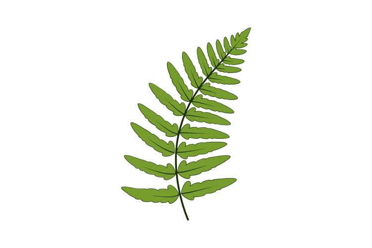 Leaf Graphic