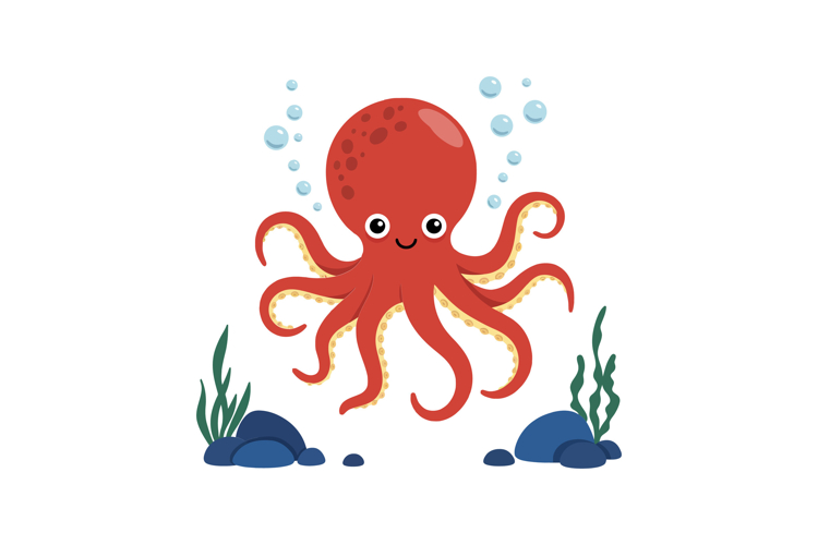 Octopus Illustration Image 12