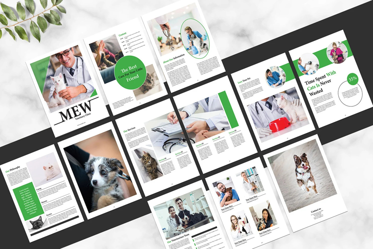 Veterinary Clinic Brochure