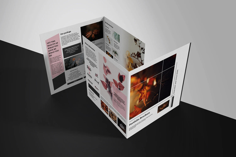 Multipurpose Portfolio Brochure