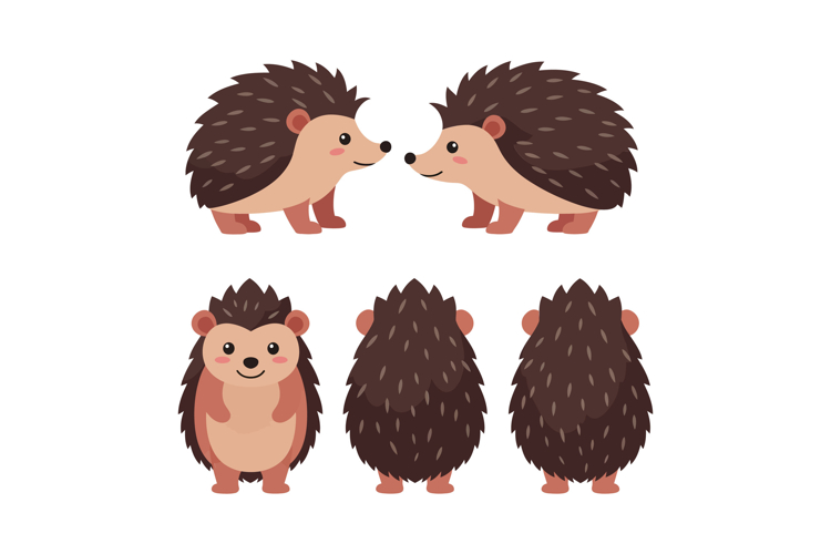 Hedgehog Illustration Image 8