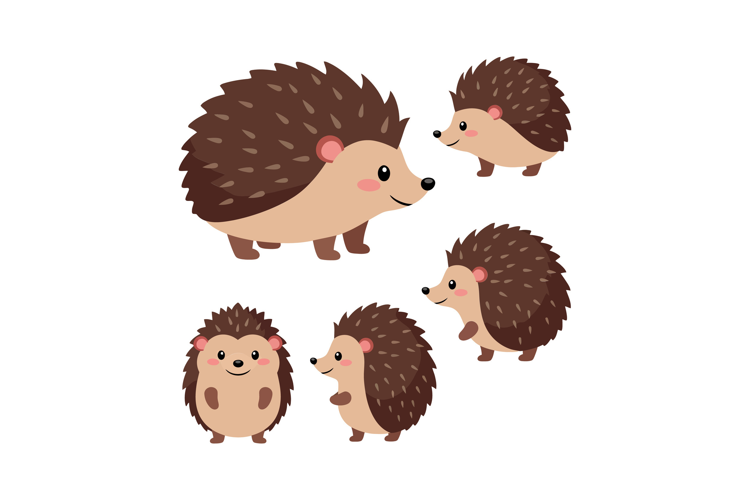 Cute hedgehogs in various poses with flat design style for p