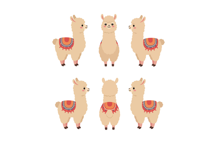 Llama Illustration Image 11