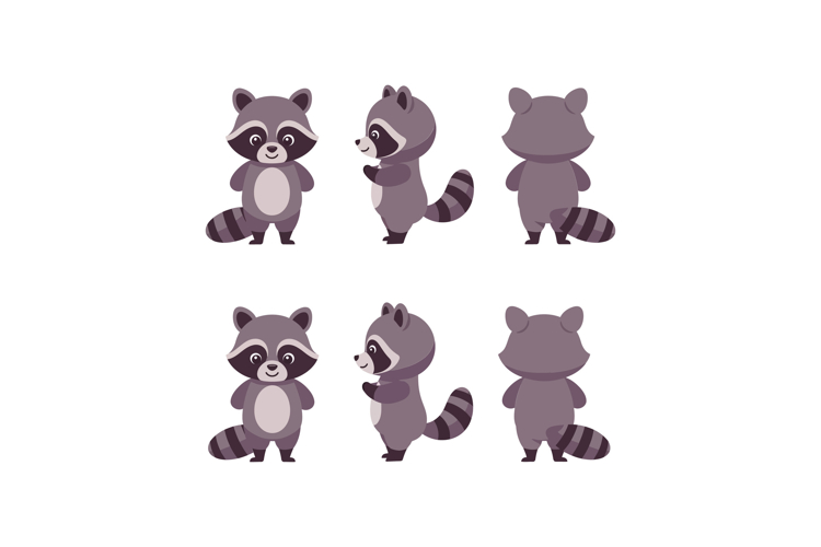 Raccoon Clipart Image 12