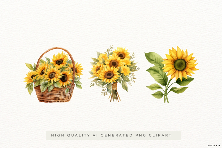 Sunflower Basket & Bouquet Illustrations