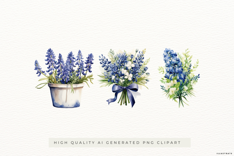 Bluebonnet Flower Illustrations - PNG Watercolor Clipart
