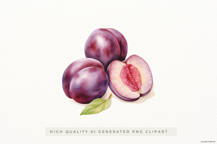 Watercolour Plum PNG Clipart