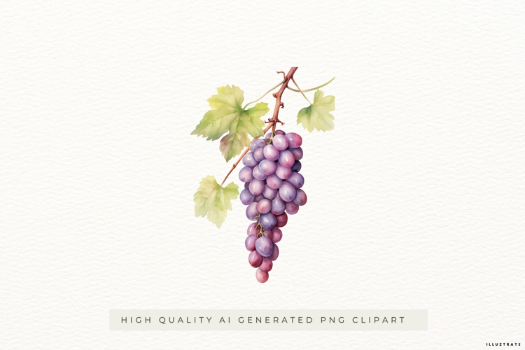 Watercolour Grape Cluster PNG Clipart
