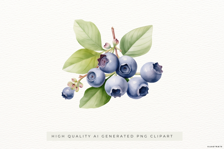 Blueberry Branch PNG Clipart