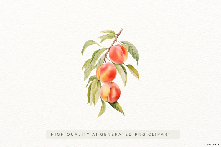 Watercolour Peach Branch PNG Clipart