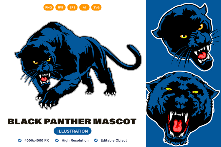 Black Panther Mascot