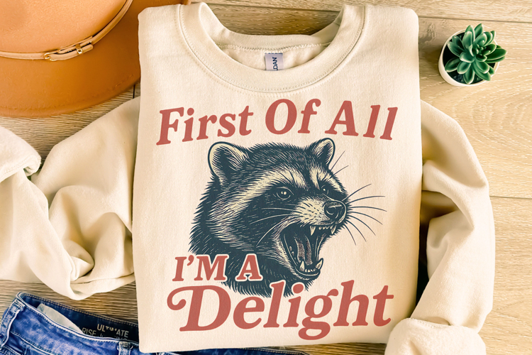 Raccoon Png Image 21