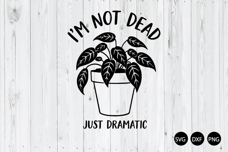 Im Not Dead Just Dramatic SVG, Funny Humor SVG