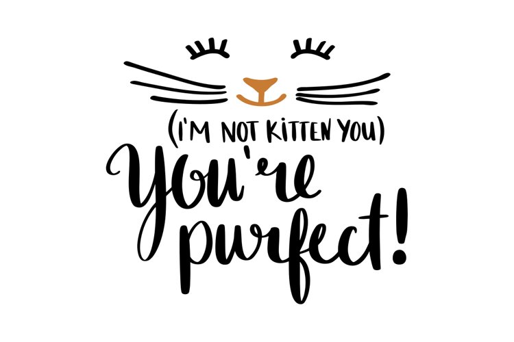 Im Not Kitten You Youre Purfect