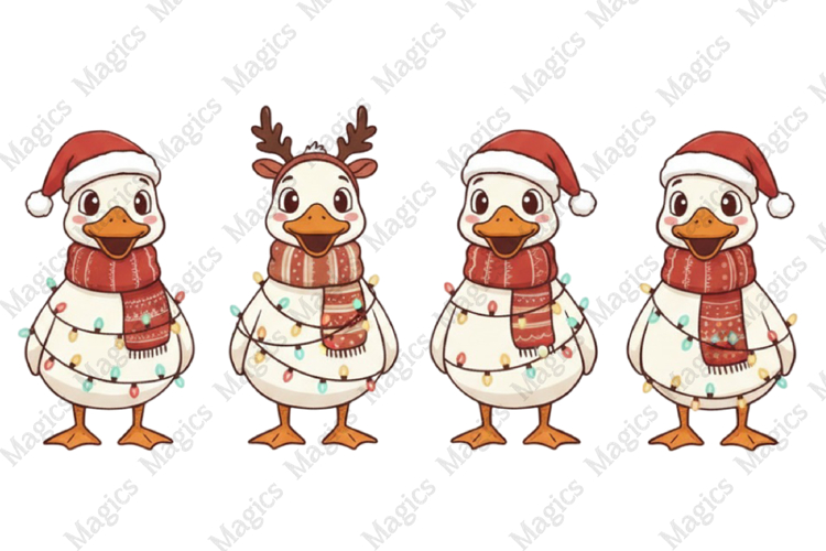 Duck Png Image 19
