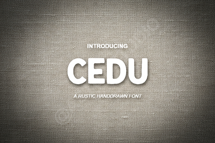 Display Typeface Image 4