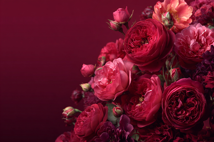 Red Background Wallpaper Image 3
