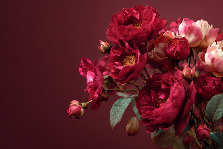 Red Background Wallpaper
