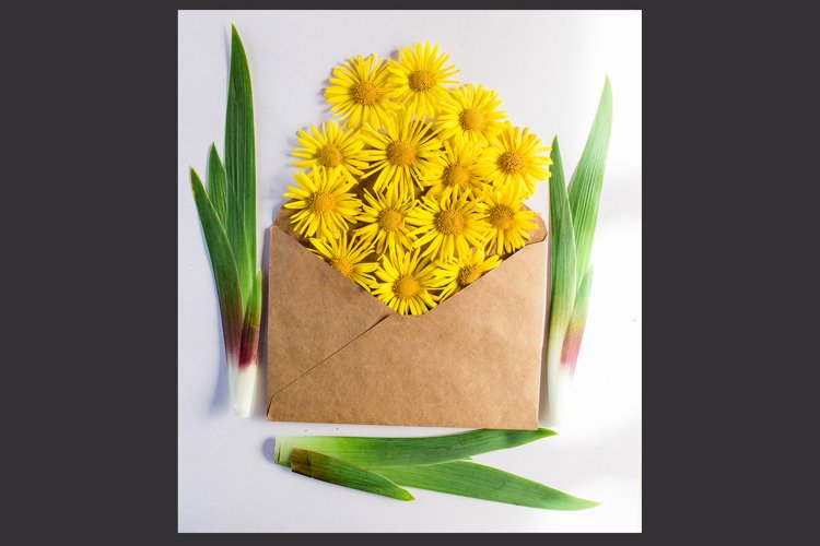 Envelope Clipart Image 10