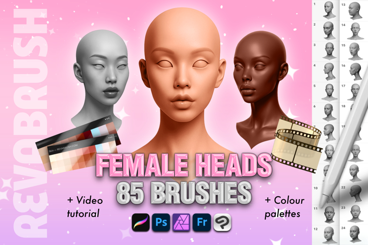 Procreate Female Portrait Face Anatomy Realistic brushes