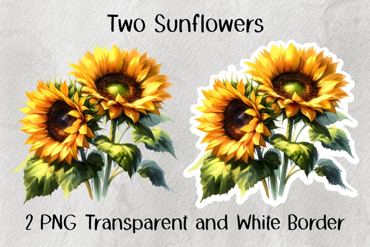 Two Sunflowers PNG