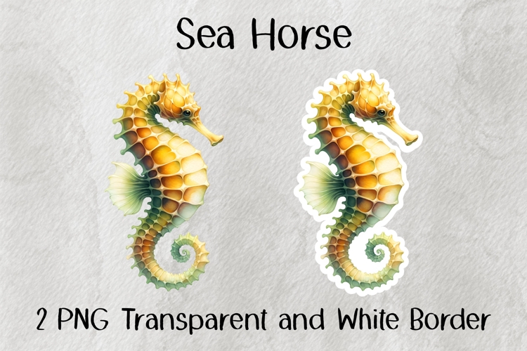 Sea Horse PNG